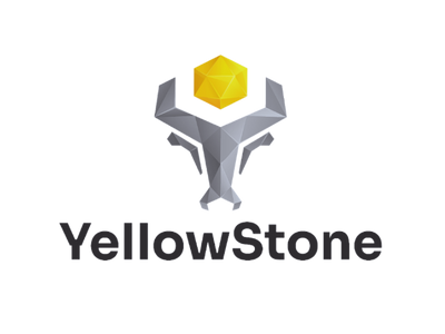 YS LOGO